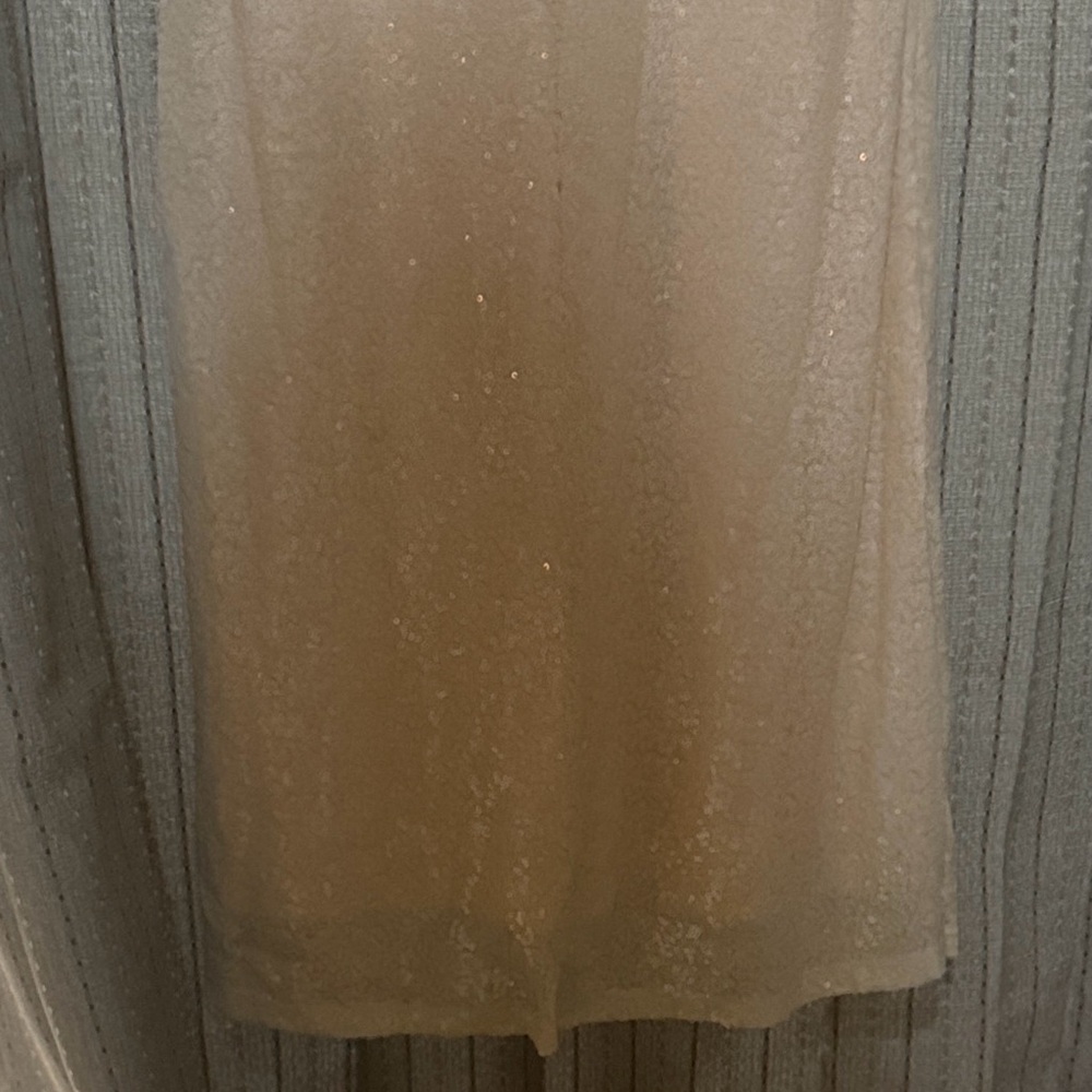 Windsor Cream Sequin Dress - Picture 4 of 7